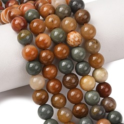 Gobi Agate Natural Gobi Agate Mongolia Colorful Jade Beads Strands, Smooth Round, 6mm, Hole: 1mm, about 63pcs/strand, 15.04''(38.2cm)