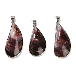 Platinum Natural Shell Pendants, Brass Teardrop Charms with Snap on Bails, Platinum, 38~49x17~20x7~9mm, Hole: 6x4mm