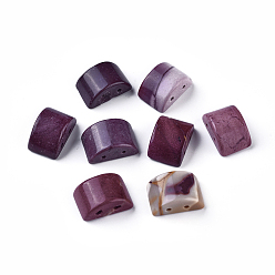 Моокаит Натуральные многонитевые звенья из мукаита, арка, 14.5~15x9~10.5x6.5~7.5 мм, отверстие : 1~1.2 мм