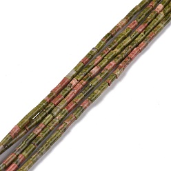 Унакит Природные Unakite бисер нитей, неокрашенными, колонка, 3.8~4.3x2.4 мм, отверстие : 0.9 мм, около 87 шт / нитка, 14.88~15.12 дюйм (37.8~38.4 см)