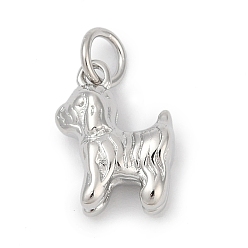 Платина Латунные подвески, собака прелести, долговечный, без свинца и без кадмия, стойки покрытие, с целью перехода в кольце, платина, 12.5x9.5x5 мм, отверстие : 3.4 мм
