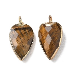 Tiger Eye Natural Tiger Eye Pendants, with Golden Plated Brass Edge Loops, Faceted, Heart Charms, 23~23.5x12~12.5x5.5mm, Hole: 3mm