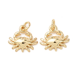 Настоящее золото 18K Латунные подвески, краб, без кадмия и без свинца, стойки покрытие, долговечный, с целью перехода в кольце, реальный 18 k позолоченный, 10x11x2.5 мм, отверстие : 2.3 мм