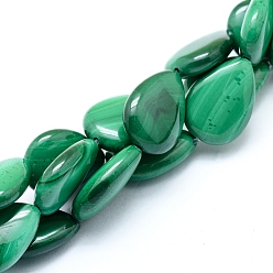 Малахит Природного малахита бисер нитей, слеза, 17.5~18x13x5.5~6 мм, отверстие : 0.8 мм, около 23 шт / нитка, 15.75 дюйм (40 см)