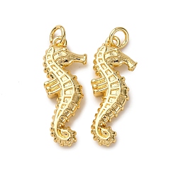 Sea Horse Латунные подвески, с целью перехода в кольце, стойки покрытие, долговечный, без свинца и без кадмия, реальный 18 k позолоченный, морской конек, 26x10.5x3.5 мм, отверстие : 3.5 мм