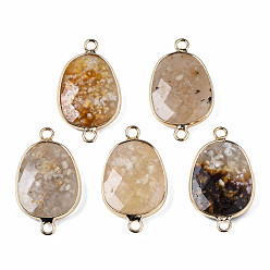 Натуральный Агат Соединители звеньев натурального агата, с позолоченным латунным краем и петлей, граненые, овальные, 31.5x17x5~6.5 мм, отверстие : 2 мм