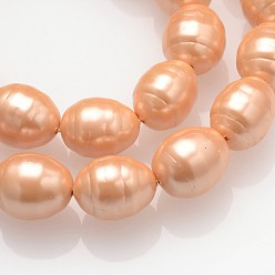 Легкий Лосось Овальные класса полированной оболочки жемчужные нити шарик, светлый померанцевый, 16x13 мм, отверстие : 1 мм, около 25~26 шт / нитка, 15.7 дюйм