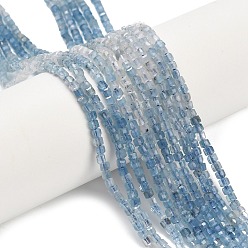 Аквамарин Природные Аквамарин бисер нитей, граненые настольные бусины в форме куба, 2.5x2.5x2.5 мм, отверстие : 0.5 мм, около 183 шт / нитка, 15.63 дюйм (39.7 см)