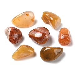 Red Agate Натуральный красный агат бисера, самородки, нет отверстий / незавершенного, упавший камень, 16~24x14~18x6~12 мм