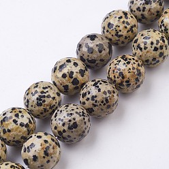 Dalmatian Jasper Natural Dalmation Jasper Beads Strands, Faceted, Round, 17~18mm, Hole: 1mm, about 21pcs/strand, 14.9 inch(38cm)