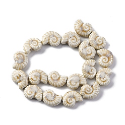 Светло-коричневый Фарфоровые бусины ручной работы серии «Океан», раковина, загар, 20.5~21x16.5~17x8~8.5 мм, отверстие : 2 мм, около 18 шт / нитка, 14.02''~14.06'' (35.6~35.7 см)