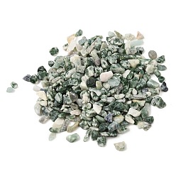 Green Spot Jasper Natural Green Spot Jasper Chip Beads, No Hole/Undrilled, 3~9x3~5x3~5mm