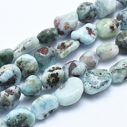 Ларимар Нити шарик натуральный Larimar, упавший камень, самородки, 5~8 мм, отверстие : 0.8 мм, около 45~47 шт / нитка, 15.7 дюйм (40 см)