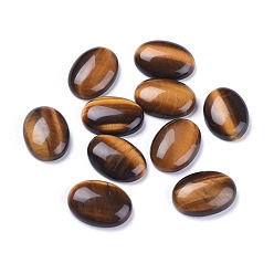 Тигровый глаз Природных тигровый глаз кабошонов, овальные, 18x12.5~13x5 мм