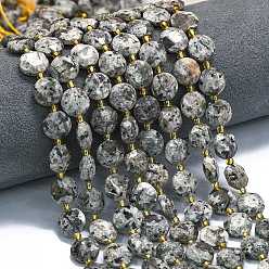 Syenite Натуральный флуоресцентный сиенитовый камень (светящийся в ультрафиолетовом свете) бусины нити, граненый шестиугольный разрез, плоско-круглые, с бисером, 10~11x4~5 мм, отверстие : 1.1 мм, около 31~32 шт / нитка, 15.35''~15.55'' (39~39.5 см)