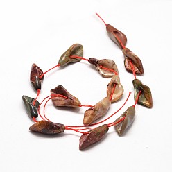 Picasso Jasper Natural Polychrome Jasper/Picasso Stone/Picasso Jasper Bead Strands, Calla Lily, 26~30x14~18x9mm, Hole: 1mm, about 13pcs/strand, 16 inch