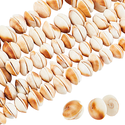 BurlyWood 5 Strands  Natural Shell Beads Strands, Half Round, BurlyWood, 8~20x8~20x3~7mm, Hole: 1mm, about 28~54pcs/strand, 6.69 inch~7.09 inch(17~18cm)