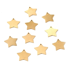 Золотой Ионное покрытие (ip) 304 подвески из нержавеющей стали, двухсторонний подъемный стол, пустая бирка с матовой отделкой, звезда, золотые, 16x17x1 мм, отверстие : 1.2 мм