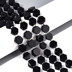 Обсидиан Природные обсидиана бисер нитей, шестиугольник, с бисером, 8~10x8~10x4~5 мм, отверстие : 0.9~1 мм, около 34~38 шт / нитка, 15.35~15.94'' (39~40.5 см)