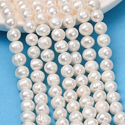 Old Lace Natural Cultured Freshwater Pearl Beads Strands, Potato, Grade 4A++, Old Lace, 8~9mm, Hole: 0.5mm, about 43~52pcs/strand, 13.46''(34.2cm)