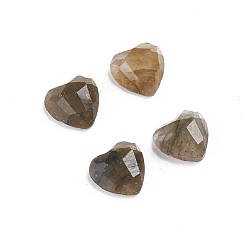 Лабрадорита Природные кабошон лабрадора, сердце, граненые, 5.5x6x2.5 мм