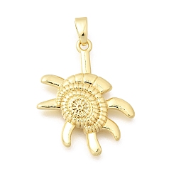 Turtle Латунные подвески, реальный 18 k позолоченный, долговечный, прелести черепахи, 25x20x3 мм, отверстие : 5x3 мм