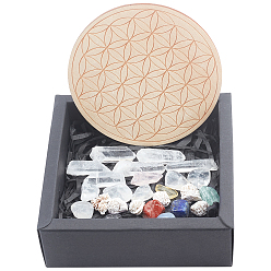 Mixed Stone Chakra Beginners Kit, Meditation Gemstones Healing Stones, with Natural Wood Plate, Spiritual Gifts for Women, 15~19x6.5~9mm