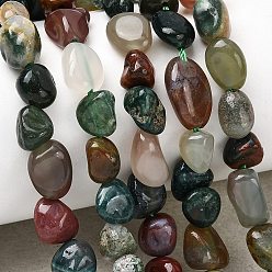 (RRHB277) Кристалл на подкладке из медово-бежевого цвета Природного индийского агата бисер нитей, самородки, упавший камень, 5~9x5~8.5x3~6 мм, отверстие : 0.8~0.9 мм, около 31 шт / нитка, 7.87'' (20 см)