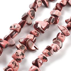 Лосось Окрашенные нити натуральных бусин-ракушек трохуса, самородки, salmon, 3~8x6~13x3~8 мм, отверстие : 1 мм, около 95 шт / нитка, 14.09'' (35.8 см)