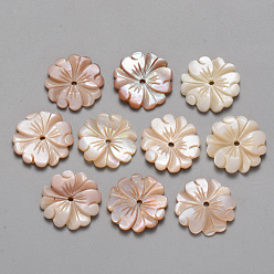 Coquillage Rose Perles naturelles de coquillage rose, fleur, 17x2mm, Trou: 1.4mm