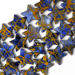 Средно-синий Естественных пресноводных оболочки бисер нитей, окрашенный и Drawbench, звезда, светло-синий, 14~19x15~20x3 мм, отверстие : 0.6 мм, около 24 шт / нитка, 15.35 дюйм (39 см)