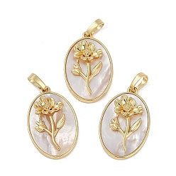 Морская Ракушка Овальные подвески из латуни с покрытием из ракушки, прелести рождения цветов, реальный 18 k позолоченный, долговечный, без свинца и без кадмия, цвет морской раковины, 25.5x16x4.5~5.5 мм, отверстие : 5.5x3 мм