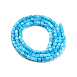 Deep Sky Blue Natural Freshwater Shell Beads Strands, Dyed, Column, Deep Sky Blue, 3.5x3.5mm, Hole: 0.8mm, about 110~113pcs/strand, 14.69 inch~15.08 inch(37.3~38.3cm)