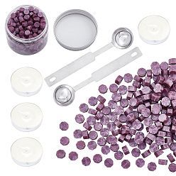 Purple CRASPIRE Sealing Wax Particles Kits for Retro Seal Stamp, with Stainless Steel Spoon, Candle, Plastic Empty Containers, Purple, 307pcs/set