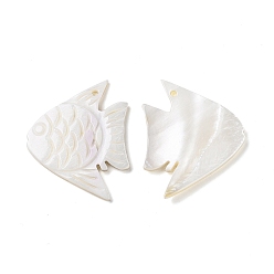 Белый Подвеска из натуральной пресноводной раковины, очарование рыбы, белые, 34x43x2.5 мм, отверстие : 2.5 мм