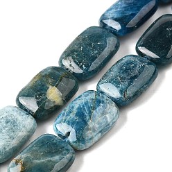 Апатит Природного апатита нитей бисера, прямоугольные, 16.5x12x6 мм, отверстие : 1 мм, около 24 шт / нитка, 15.43'' (39.2 см)