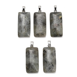 Labradorite Pendentifs labradorite naturelle, charme rectangle, avec 304 mousqueton en acier inoxydable sur les balles, couleur inox, 44~45x19~20x8~9mm, Trou: 7.5x4mm