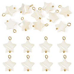 Real 18K Gold Plated 10Pcs Natural Shell Star Pendants, with 304 Stainless Steel Loops, Seashell Color, Ion Plating(IP), Real 18K Gold Plated, 15.5~17.5x12.5~13x3~4mm, Hole: 1.8~3mm