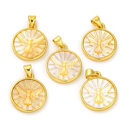 Желтые Ракушки Подвески-моли из натуральной желтой ракушки, стойки обшивки латунные круглые плоские прелести, золотые, 20x17x3 мм, отверстие : 3.5x5 мм