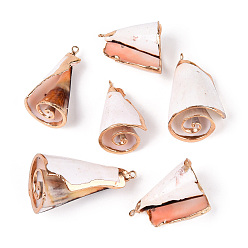 Seashell Color Electroplate Spiral Shell Pendants, with Iron Findings, Light Gold, Seashell Color, 25~45x12~19x14~18mm, Hole: 1~2mm