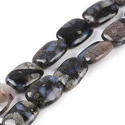 Glaucophane Бусы из натурального глаукофана, прямоугольные, 16x11.5x5 мм, отверстие : 1 мм, около 26 шт / нитка, 15.94 дюйм (40.5 см)