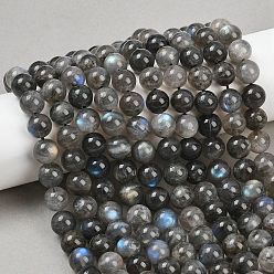 Лабрадорита Природные лабрадорита бисер нитей, круглые, 9.5~10.5 мм, отверстие : 1.2 мм, около 39 шт / нитка, 15.43'' (39.2 см)