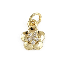 Настоящее золото 18K Латунные микро проложить кубического циркония подвески, , стойки покрытие, долговечный, без свинца и без кадмия, с целью перехода в кольце, реальный 18 k позолоченный, 11x8.5x2.5 мм, отверстие : 3 мм