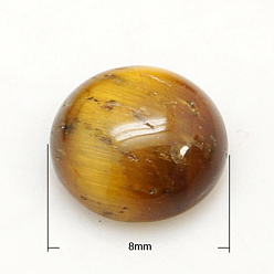 Тигровый глаз Кабошоны из камня, полукруглые / купольные, природных тигровый глаз, 8x3.5 мм