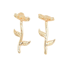 April Daisy Латунные подвески, , золотые, апрельская маргаритка, 21x8x10 мм, отверстие : 1 мм