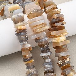 Серый агат Серые натуральные бусины из агата , самородки, градуированный бисер, 14~26x9~16x2.5~5 мм, отверстие : 1 мм, около 93~99 шт / нитка, 15.55~15.83'' (39.5~40.2 см)