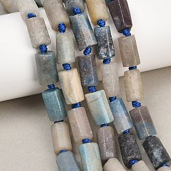 Trolleite Натуральные нити троллейтовых бусин, колонка, граненые, 11~18x6~11 мм, отверстие : 1.2~1.6 мм, около 20~25 шт / нитка, 15.16~15.55'' (38.5~39.5 см)