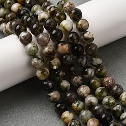 Темно-оливково-зеленый Натуральные лепидолитовые бусины, круглые, 9 мм, отверстие : 1 мм, около 45 шт / нитка, 15.35'' (39 см)