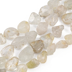 Topaz Natural Topaz Beads Strands, Nuggets, 17~25x15~21x5~12mm, Hole: 1mm, about 19~24pcs/strand, 15.55~16.93 inch(39.5~43cm)