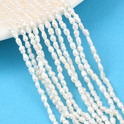 Кукурузный Шелк Нити из натурального культивированного пресноводного жемчуга, рис, класс 3, цвет колоса кукурузы, 1.8~2.3 мм, отверстие : 0.5 мм, около 90~104 шт / нитка, 13.78~14.17'' (35~36 см)